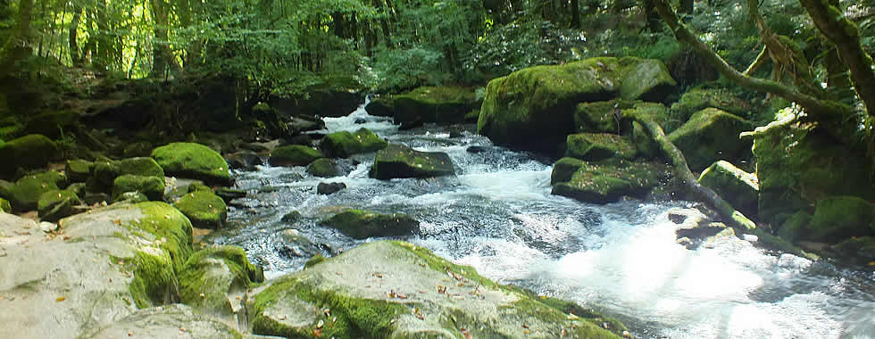 Golitha Falls in the Parish of St Neot